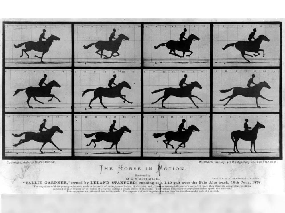 A photo sheet showing the images used by Eadwaerd Muybridge in 1880 to illustrate how still photos could indicate motion. 